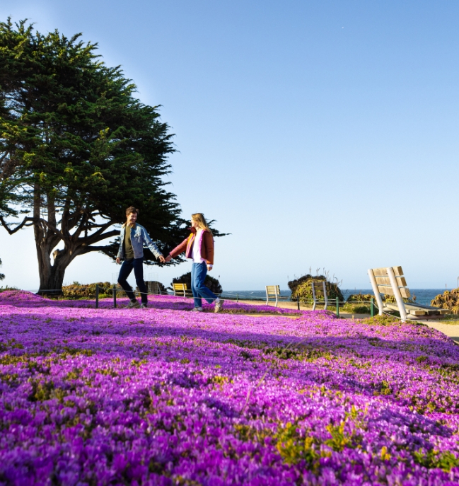Monterey County