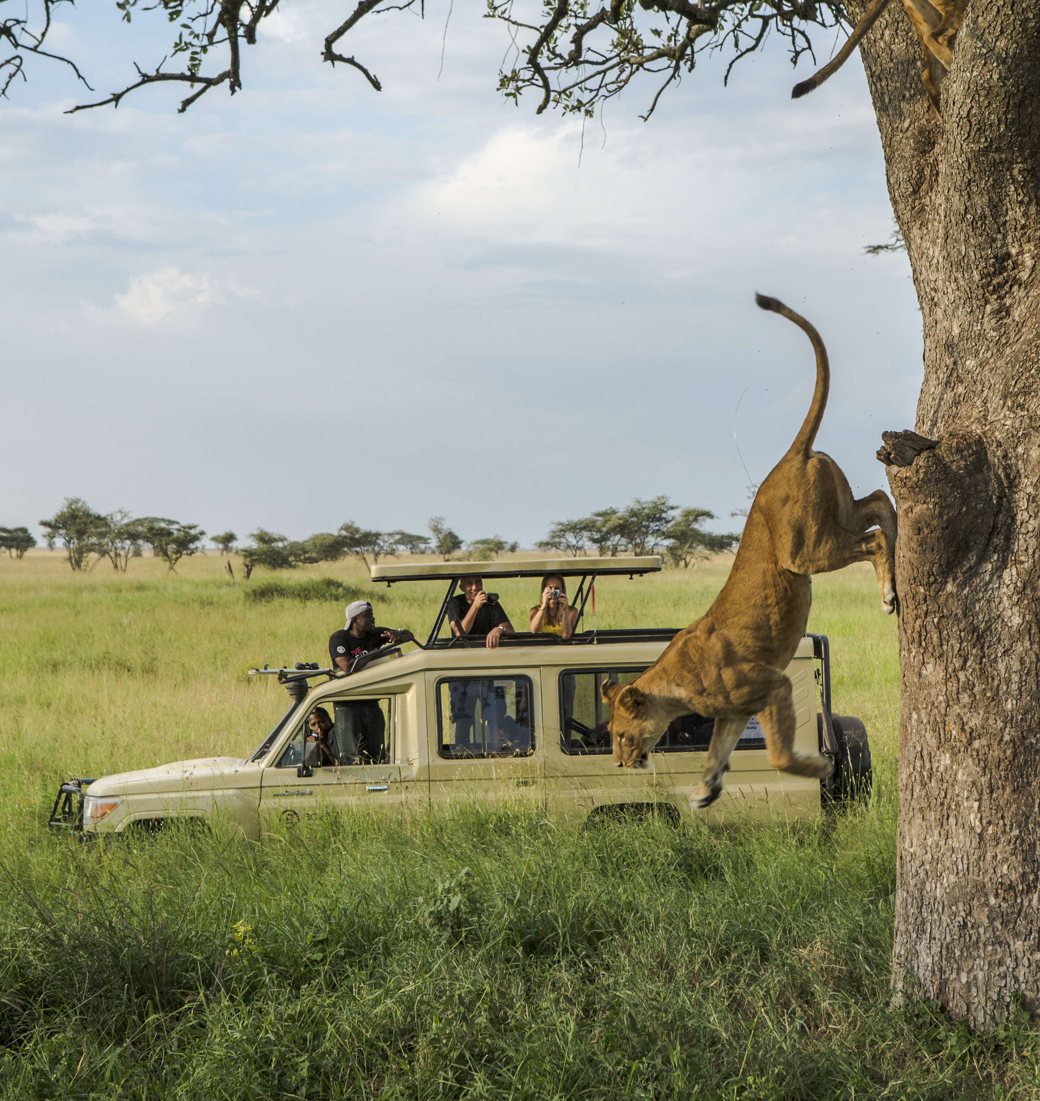 Tanzania Serengeti Safari Truck